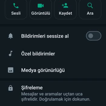 Dyson Sahte Web Siteleri