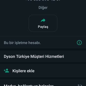 Dyson Sahte Web Siteleri