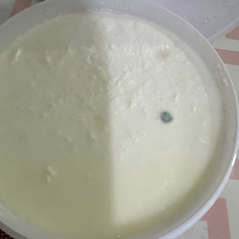 BİM Eker Marka Küflü Yoğurt ‼️