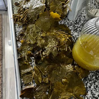 Yasmin Doğal (ege_salamur_) Instagram Sayfasından Alışverişte Yaşanan Sorunlar