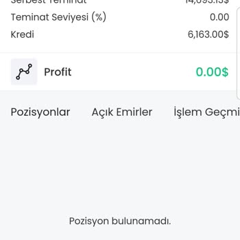 Orea Yatırım Yatırım Şirketi Hizmet Kalitesi Sorunları