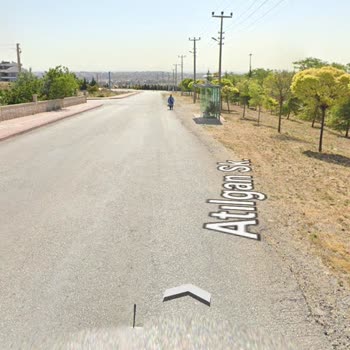 Kelebekler Vadisi Köpek Şikayetinde Bulunmak İstiyorum