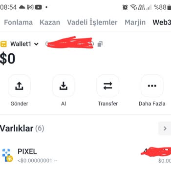 Web 3 Problemi