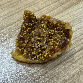 Dovido Kuru İncir Küflü!