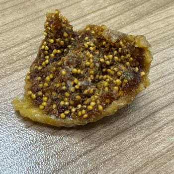 Dovido Kuru İncir Küflü!