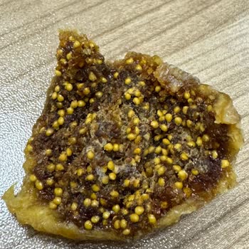 Dovido Kuru İncir Küflü!