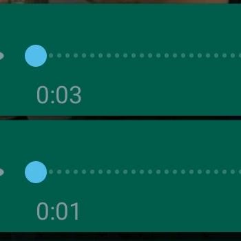 Samsung Telefon Sesli Mesajlarda Ses Sorunu