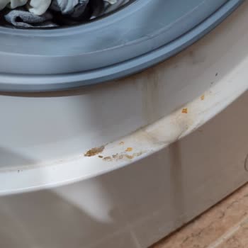 Bosch Çamaşır Makinesi Seri Hatası Yüzünden Sürekli Su Akıtıyor