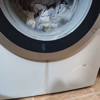 Bosch Çamaşır Makinesi Seri Hatası Yüzünden Sürekli Su Akıtıyor