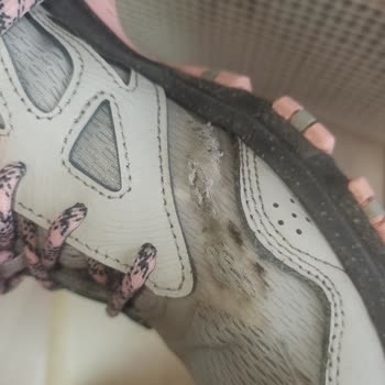 In Street Skechers Ayakkabının İki Ayda Yırtılması