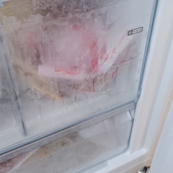 Bosch Marka Beyaz Eşya