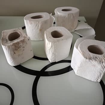 Küflenen Familia WC Kağıtları