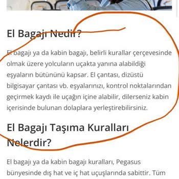 Pegasus Bagaj Hakkı Skandalı
