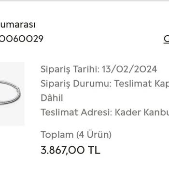Pandora Mücevher Pandora'dan Aldığım Kargom Gelmiyor