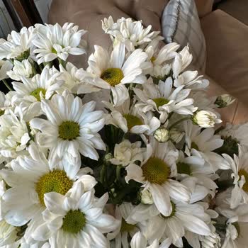 ÇiçekSepeti Ayıplı Ürün Satışı