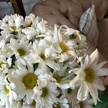 ÇiçekSepeti Ayıplı Ürün Satışı