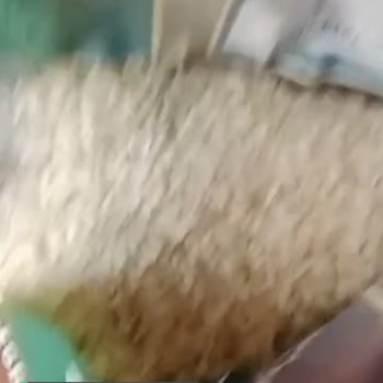 Zeki Gıda Osmancık Pirinci Paketinde Küflenmiş!