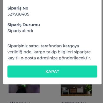 Shopier Sea Neon LED Firmasi