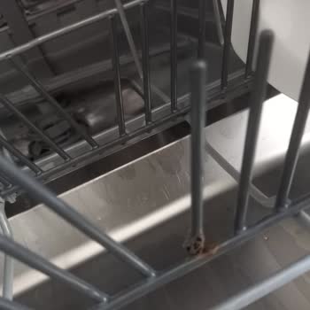 Profilo Bulaşık Makinesi Sepette Paslanma