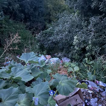 Ungelöste Müllabfuhrprobleme in Hacıali Mahallesi, Gemeinde Bursa/Mustafakemalpaşa