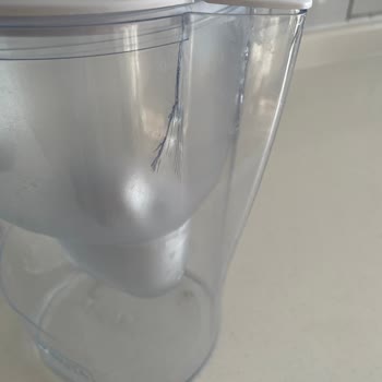 Brita Sürahi Yosun Tutma Sorunu