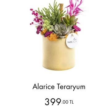 Taze Çiçek (tazecicek.com) Ürün Ve Hizmet Hayal Kırıklığı