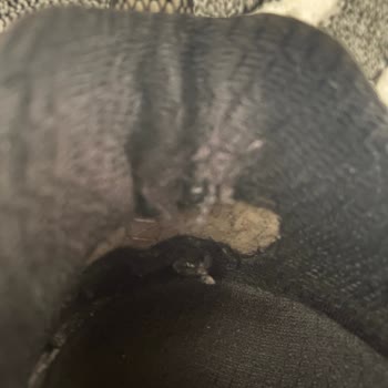 Skechers Kalitesiz Ürün Deneyimi: Beklentilerin Altında Kalan Ayakkabı