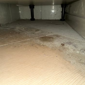 Armut Boş Ev Temizliği Kalitesiz Ve Yarım İş Yapıyorlar