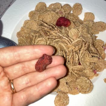 Kellogg's Kırmızı Meyveli Çürümüş Meyveler