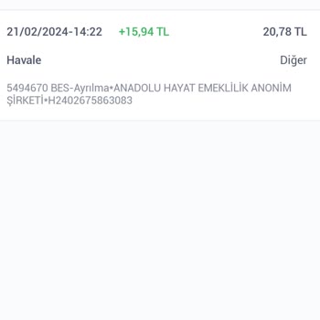 Anadolu Hayat Emeklilik BES İptalinde Paramı Alamadım