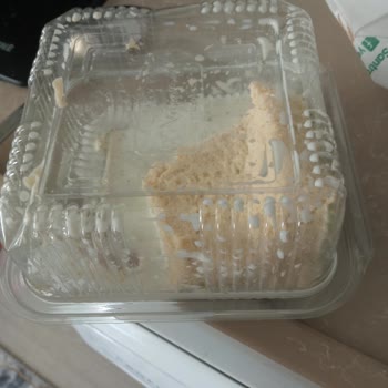 Doğal Yeşil Fırın Pasta (Adana) Tatli Siparişim Tatli Olmaktan Çıkmış Bir Vaziyette Elime Ulaştı