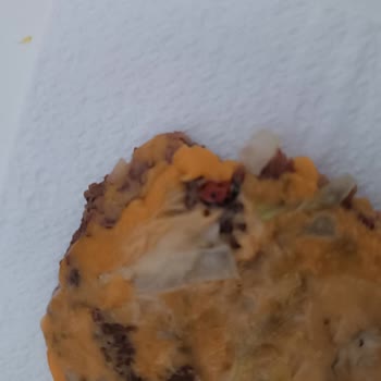 McDonald's Beykent Şubede Hamburger İçinden Uğur Böceği Çıktı!