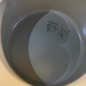 Neoflam Ürün De Ki Sorun