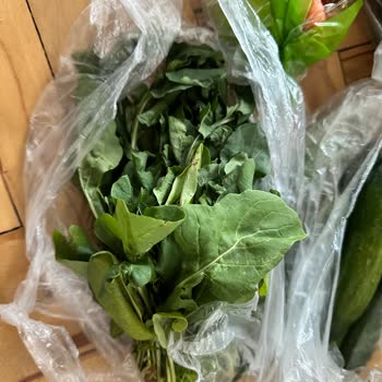 Migros Sanal Market'te Çürük Ürün Hayal Kırıklığı