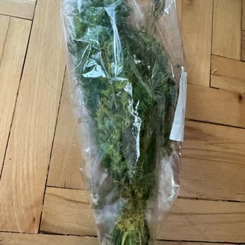 Migros Sanal Market'te Çürük Ürün Hayal Kırıklığı