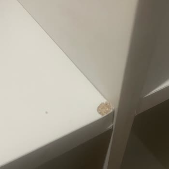 Engince MASKO 2 İlgisizlik