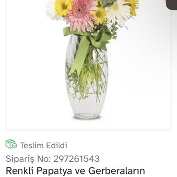 Osevio.com Dan Sipariş Ettiğim Çiçek Fotoğraftakinden Çok Farklı Geldi