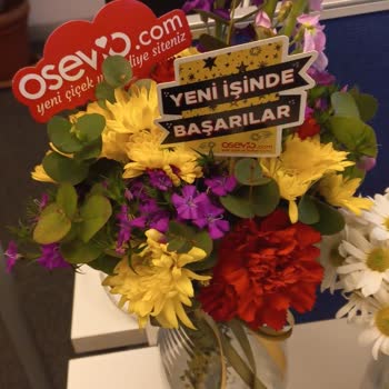 Osevio.com Dan Sipariş Ettiğim Çiçek Fotoğraftakinden Çok Farklı Geldi