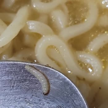 indomie Noodleın İçinden Kurt Çıkması.