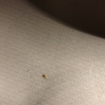 Ukinox Marka Evye Defolu