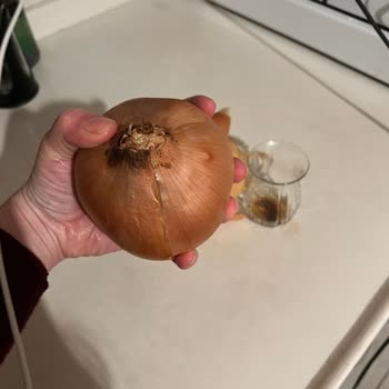 Migros Faciaları Devam Ediyor