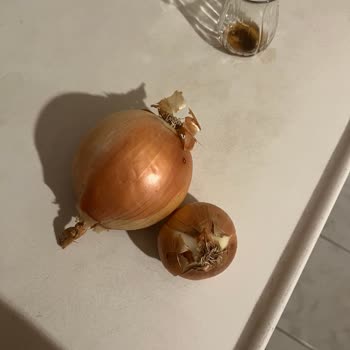 Migros Faciaları Devam Ediyor