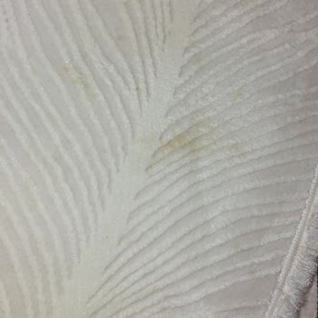 Detay Halı Yıkama Halı Yıkama Fabrikası Haksız Gelir