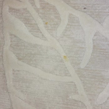 Detay Halı Yıkama Halı Yıkama Fabrikası Haksız Gelir