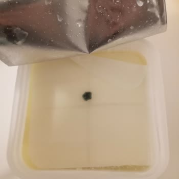 Teksüt Süzme Peynir Küf Oluşumu