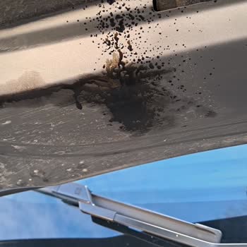 Birmot Servisin Yaptığı Yanlış