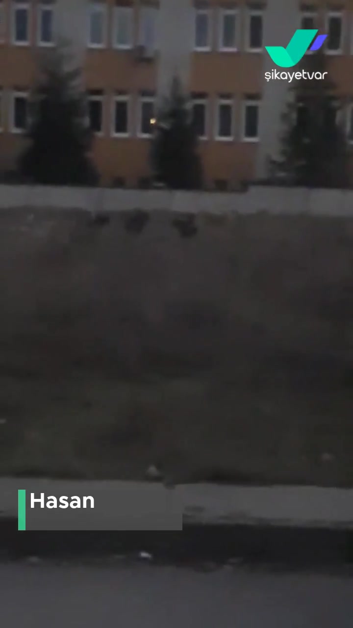 Eskişehir Büyükşehir Belediyesi Saldırı Ve Köpekler videonun kapak resmi
