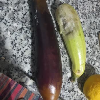 Bosch Buzdolabı Bulaşık Makinesi Soğutmuyor Kurutmuyor