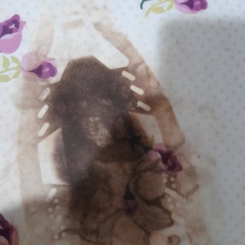 Arçelik Ütü Tabanı 15saniye Bile Yatay Kalmadan Ütümde Ütü Masamda Yandı