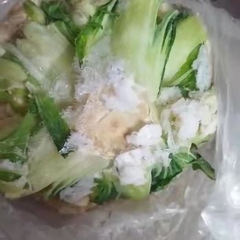 Vestel Offers Constant Repairs For Defective Fridge, Not Solutions